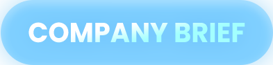COMPANY BRIEF